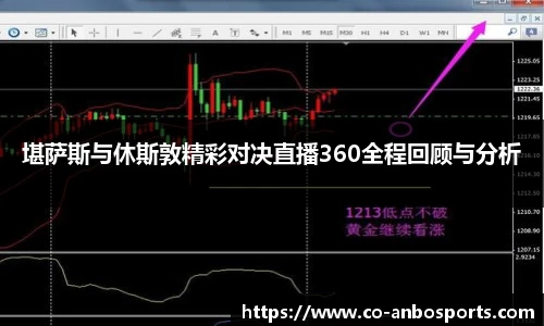 堪萨斯与休斯敦精彩对决直播360全程回顾与分析